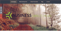 Desktop Screenshot of businessdirectmedia.com
